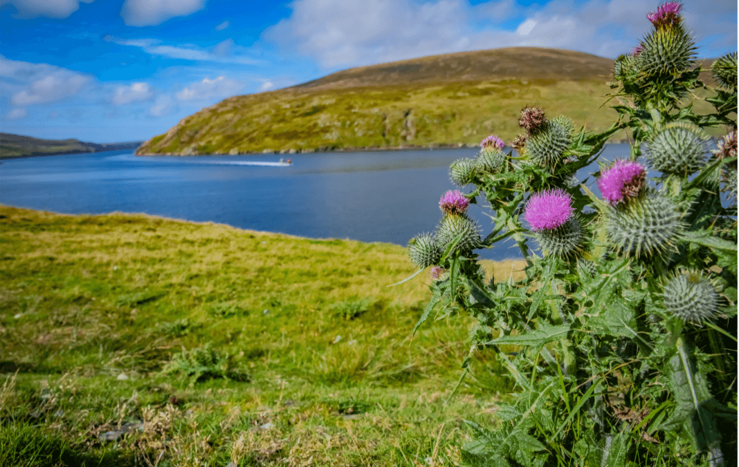 loch
